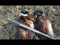 Охота на фазана, кеклика и серую куропатку Охота на фазана в Кыргызстане. Pheasant hunting. Pheasant