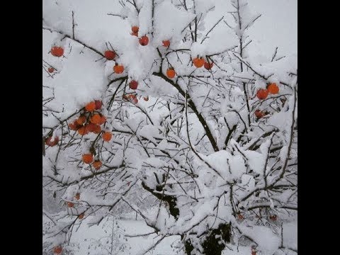 Как укрыть маленькую
