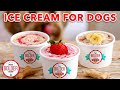 Ice Cream for Dogs w/ My Dog, Waffles! - Gemma's Bigger Bolder Barking