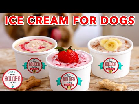 Ice Cream for Dogs w/ My Dog, Waffles! - Gemma