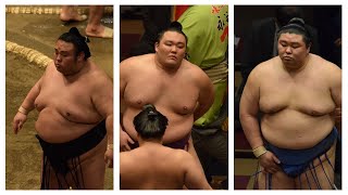 Sumo news (June 8th): Asanoyama, Shodai, Takakeisho, Takayasu