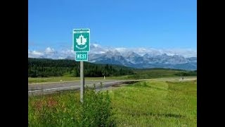 Pvz 2 - Highway To The Danger Room - Level 96 Reinforce-Mint