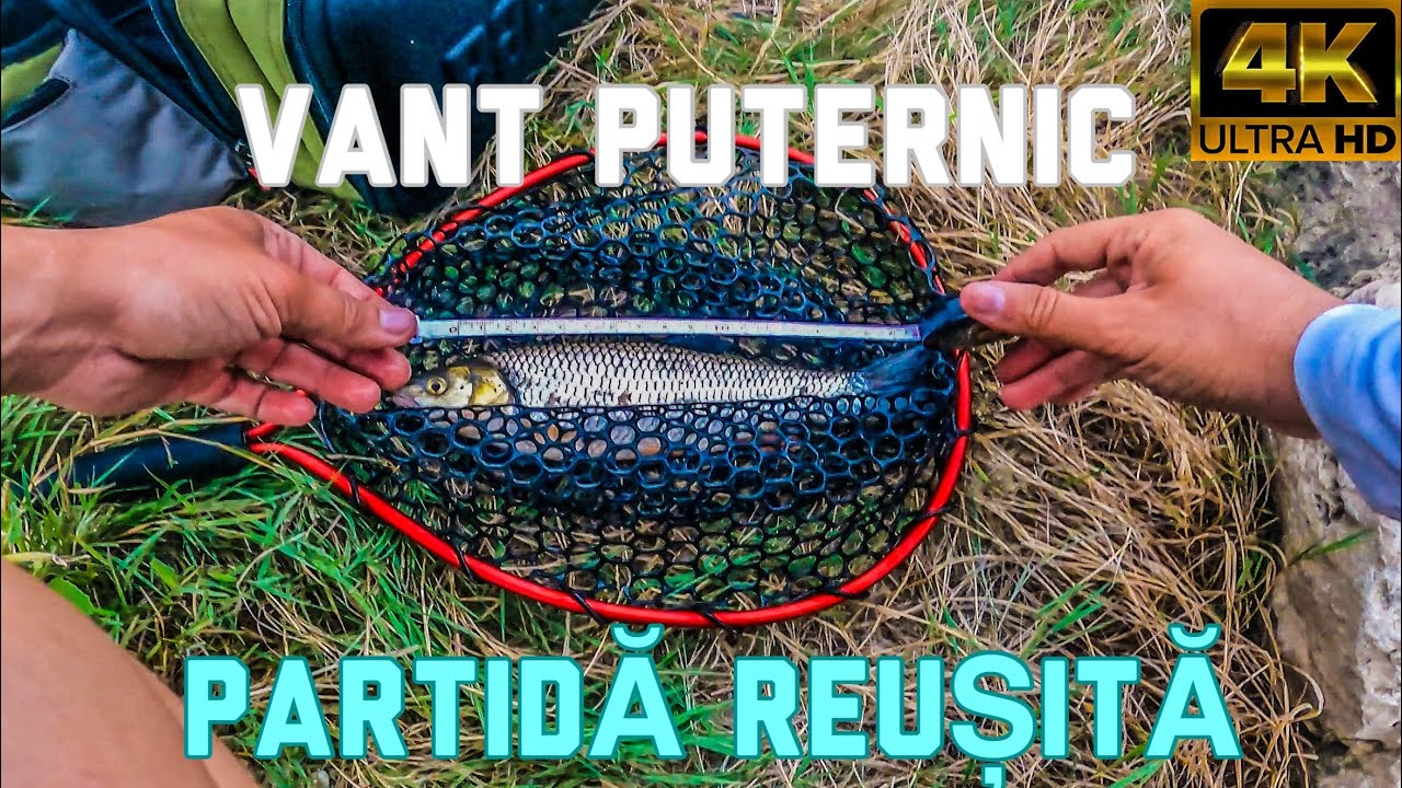 Bait finesse la clean pe raul Arges.[4K]