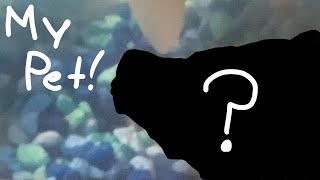 75 Sub Special!