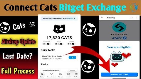 Cats Airdrop Withdrawal Bitget Cats Deposit Address & UID | Cats Token Withdrawal In Bitget Exchange
