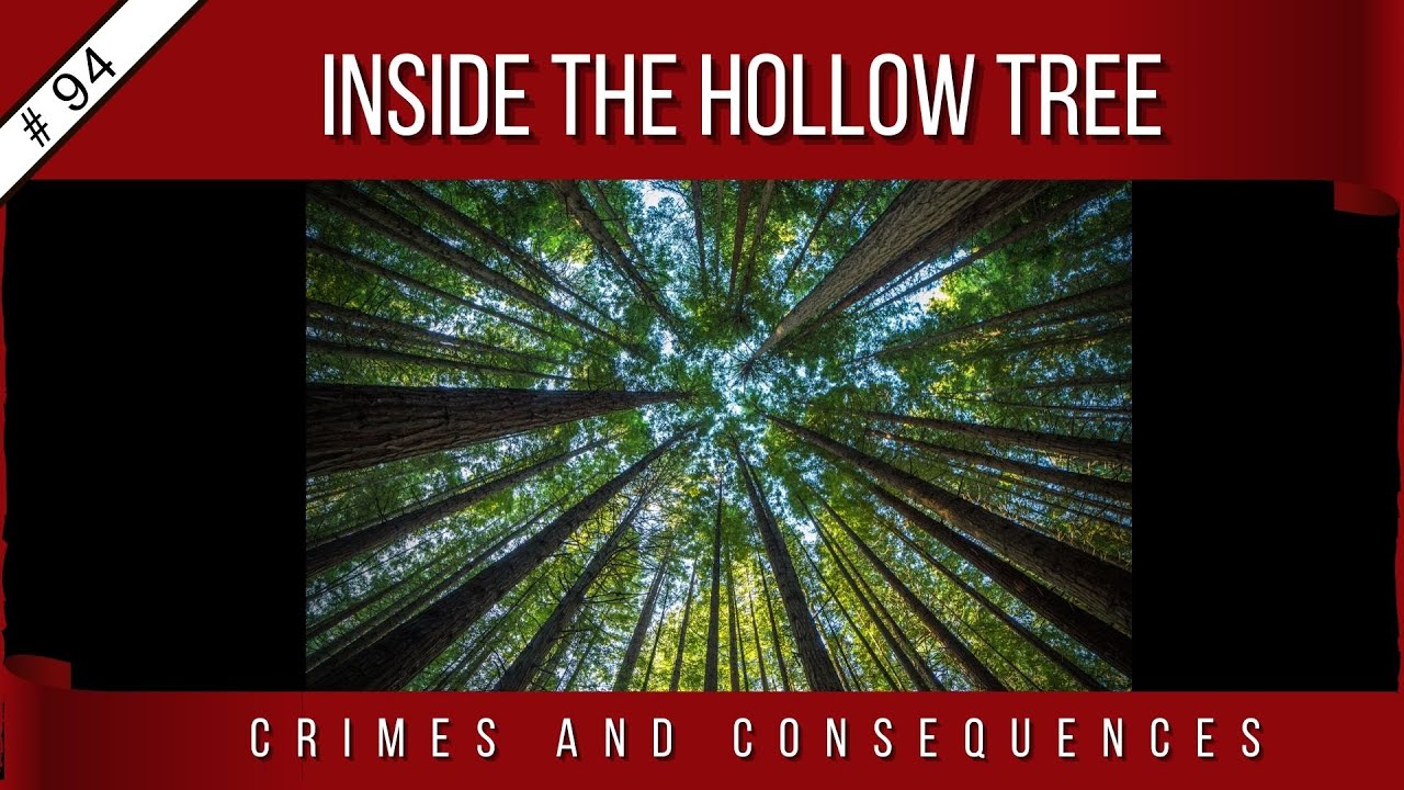 EP94 Inside the Hollow Tree YouTube