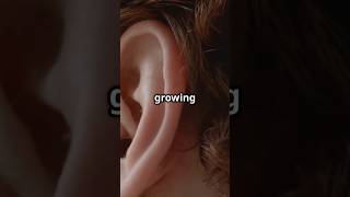 Your Ears Really Never Stop Growing? True or False