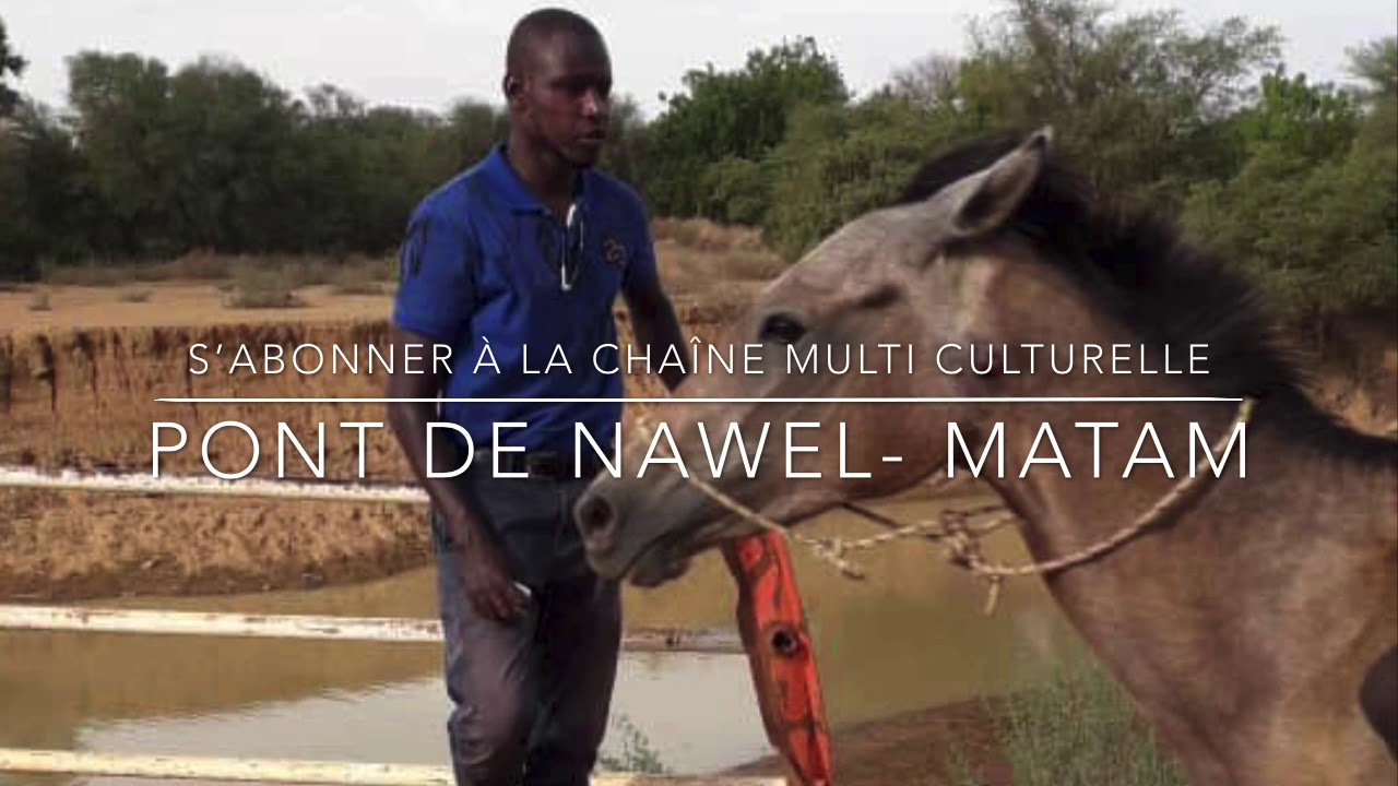 Abou Diouba Deh: SAMBAYAL GAYE