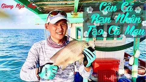 jig cá và luna cá biển/ câu cá kẽm,cá mú, cá bớp, cá bè trang rạn nhân tạo Cà Mau