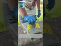 ✨ Old cracked floor → premium epoxy makeover 😍#EpoxyFloor #FloorCoating #LuxuryFloor #HomeDesign