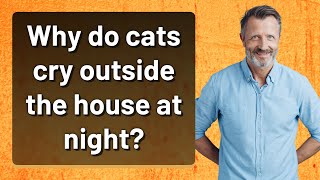 Why do cats cry outside the house at night?