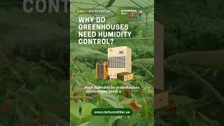 Why Every Greenhouse Needs Reliable Moisture Control Solutions?