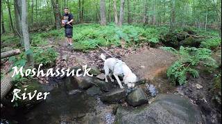 Lost Cemetery Hunt at Moshassuck River Preserve – Stone Dam & Farm Ruins Discovered in Lincoln RI