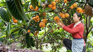 又大又甜的枇杷，製作成美味的蛋糕，爺爺很喜歡｜Wild girl making delicious cake with fruit loquat｜野小妹 wild girl