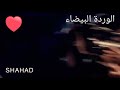 لا بسند ولا بل هند هاندا ارشال الوصف لا بسند ولا بل هند هاندا ارشال الوصف