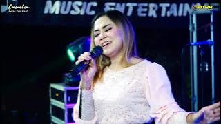 CAMELIA MUSIC- BIMBANG EVA AQWEILLA-WEDDING NAIM DENGAN ALIYAH