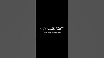 كروما سورة التكاثر للشيخ الآسر ياسر الدوسري بصوت حزين.