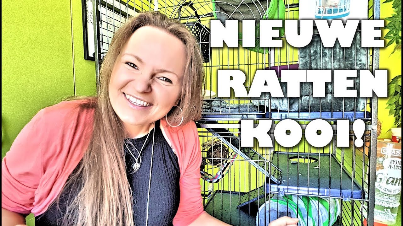 Versterken Instituut Beurs NIEUWE RATTENKOOI! | Perfect knaagdierkooi van Zooplus - YouTube