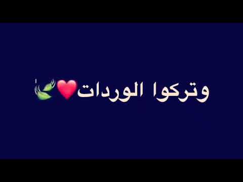 كرومات الاغنيه شفتي شفتي الفراشات