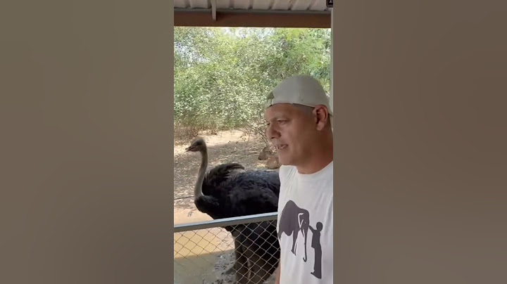 ¡HABRÁ UN NUEVO SANTUARIO DE FRANK CUESTA! #frankcuesta #yuyee #tailandia #españa #youtubeshorts