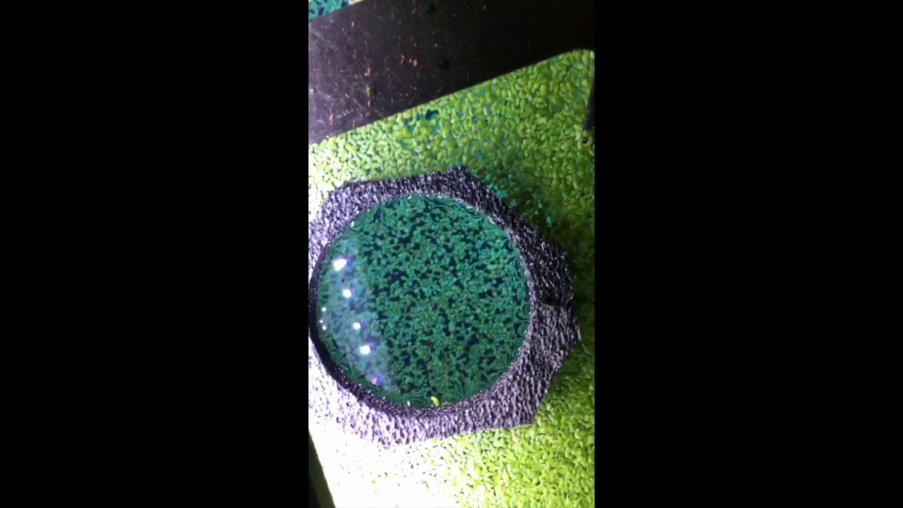 diy-fish-feeder-ring-youtube