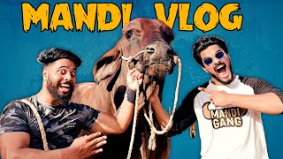 Karachi Cow Mandi Vlog 2022 | Bakra Eid | Eid Ul Azha | Mishkat khan