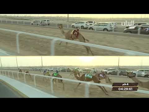 ش11 سباق الحقايق الأشواط العامة مهرجان بطولة كأس آسيا مساء 22 4 2019