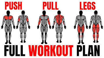 The Smartest Push Pull Legs Routine (Fully Explained)💪
