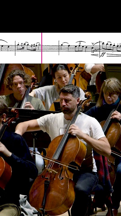 An earworm in 5/4 🎼 #orchestra #tchaikovsky #classicalmusic