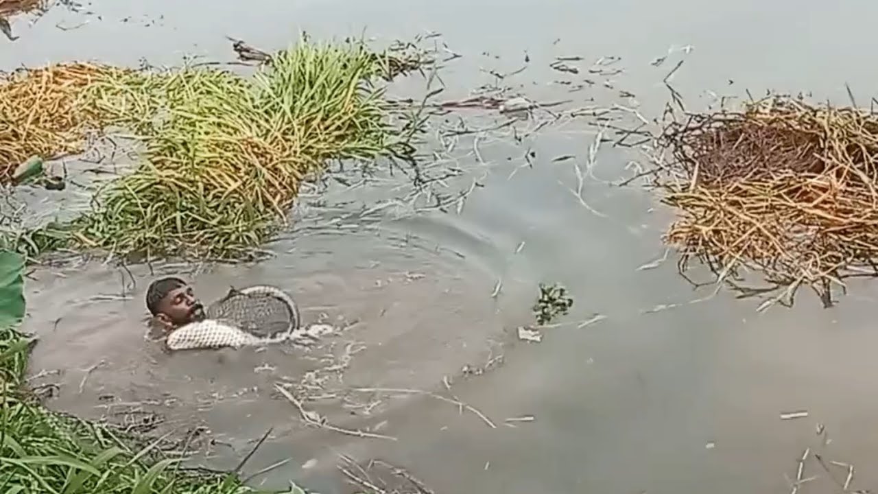 എന്തോരം വാളയുണ്ടെന്നു നോക്കിക്കേ♥️