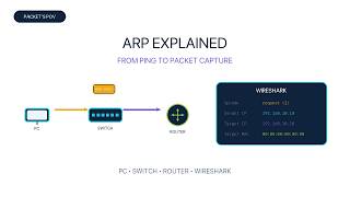 ARP Explained Through Real-World Scenarios | Wireshark, PCs, Switches & Routers