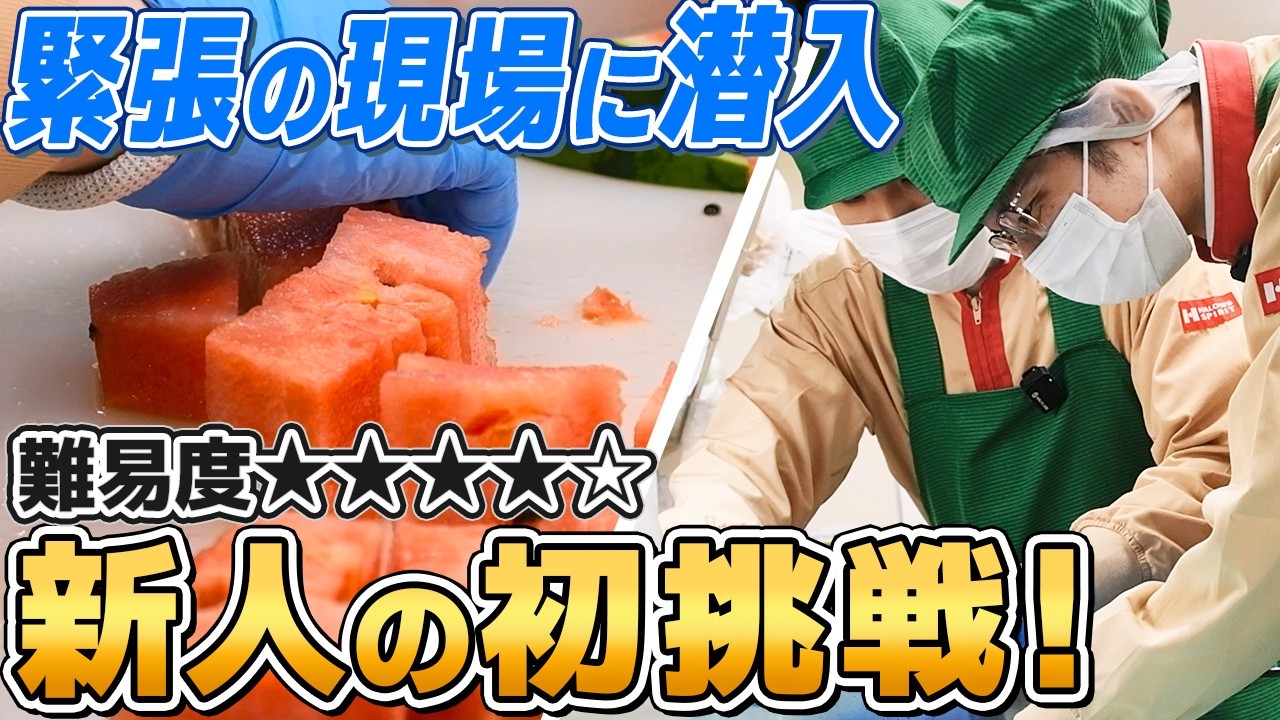 【青果部門】先輩社員と挑む初めてのスイカ加工！新入社員の実務研修に密着取材します！【就活生向け動画】