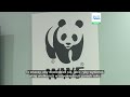 WWF Grecja: Przewodnik po spożyciu ryb – Co jemy i kiedy? Co dzieje się z gatunkami obcymi?