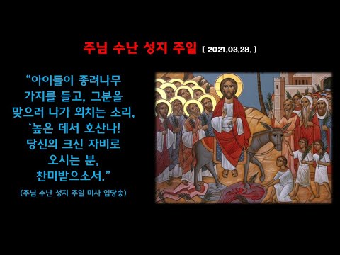 영상썸네일