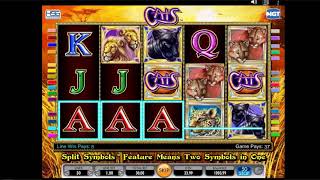 Cats Online Slot by IGT Neonslots com