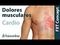 Palpitaciones y alteración cardiaca - Problemas articulares y musculares que provocan