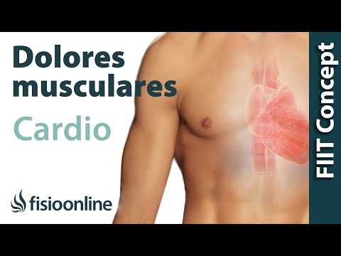 Video: ¿Qué significa s altación?