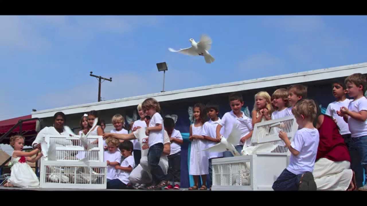 Montessori Preschool White Dove Release Portland Oregon YouTube