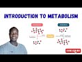 Introduction to metabolism 
