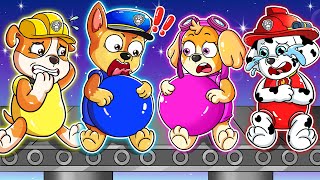What Happened to Chase&Skye's Stomach??? - Paw Patrol Ultimate Rescue | Very Sad Story | Rainbow 3