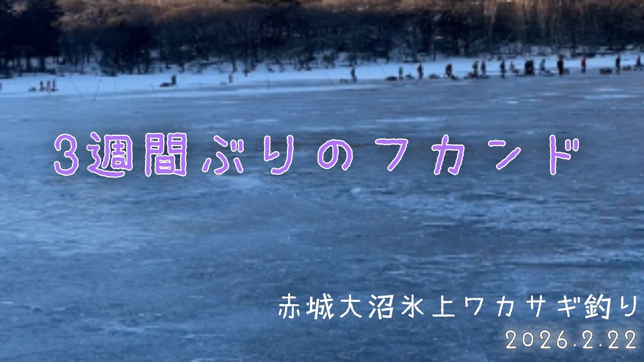 2026.2.22【形成一変？】赤城大沼氷上ワカサギ釣り