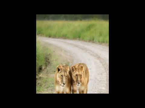 Mhelamasunga My Phon Official Audio 