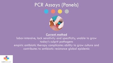 Polymerase Chain Reaction (PCR) Rapid Pathogen Detection - AMS