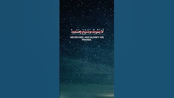 قرآن كريم_من سورة الفرقان_تلاوة خاشعة بصوت هادئ_راحة نفسية