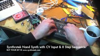 Synthrotek 4093 NAND Synth with 8 Step Sequencer and CV input - LOFI SYNTH!