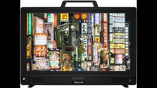 Professional 4K Monitor for Filmmaking SmallHD Cine 24 Honest Review