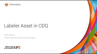 Labeler Asset in CDQ