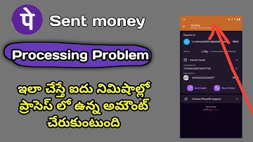 phone pe payments processing problem solutions 2024 || by tecpe