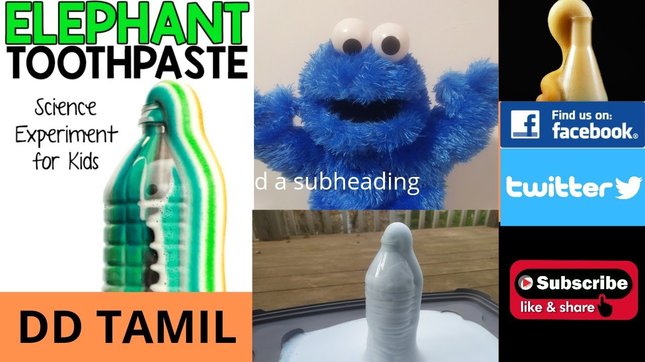 Elephant toothpaste experiment... YouTube