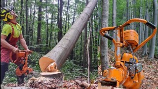 Ťažba dreva s ruským veteránom, Druzba 4M Electron, Old Chainsaw, Amles, Tree felling, Dangerous.